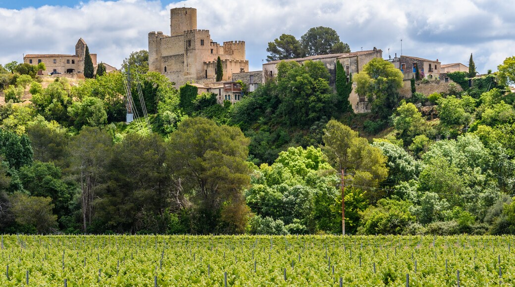 Castle of Castellet and Vinyeards near Foix Reservoir, Catalonia, Spain