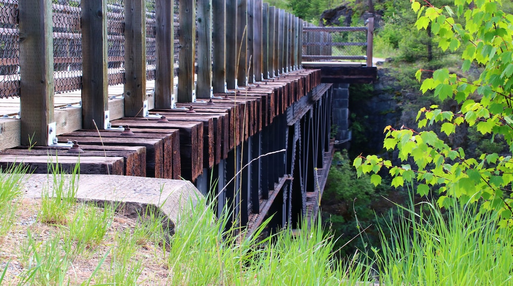 This bridge crosses the cascade gorge and its base is a remnant of the Kettle Valley Railroad.