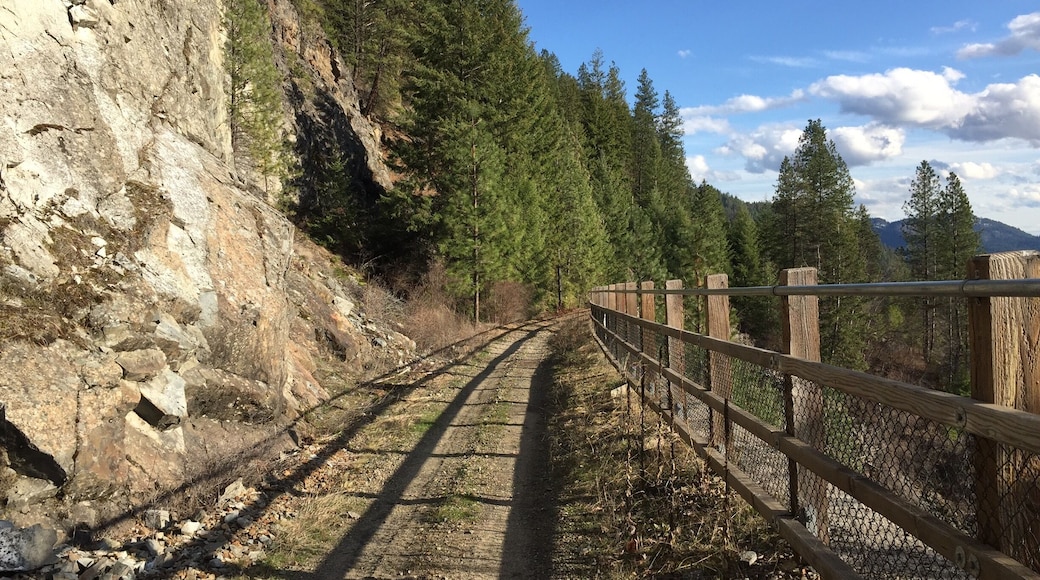 A section of the amazing Trans-Canada Trail above Christina Lake!
