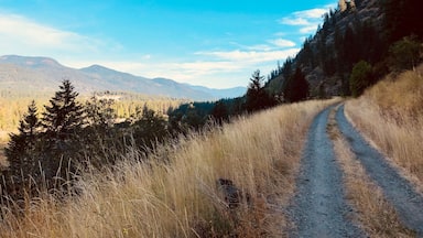 The stunning view from the Great Trail in Christina Lake, BC!