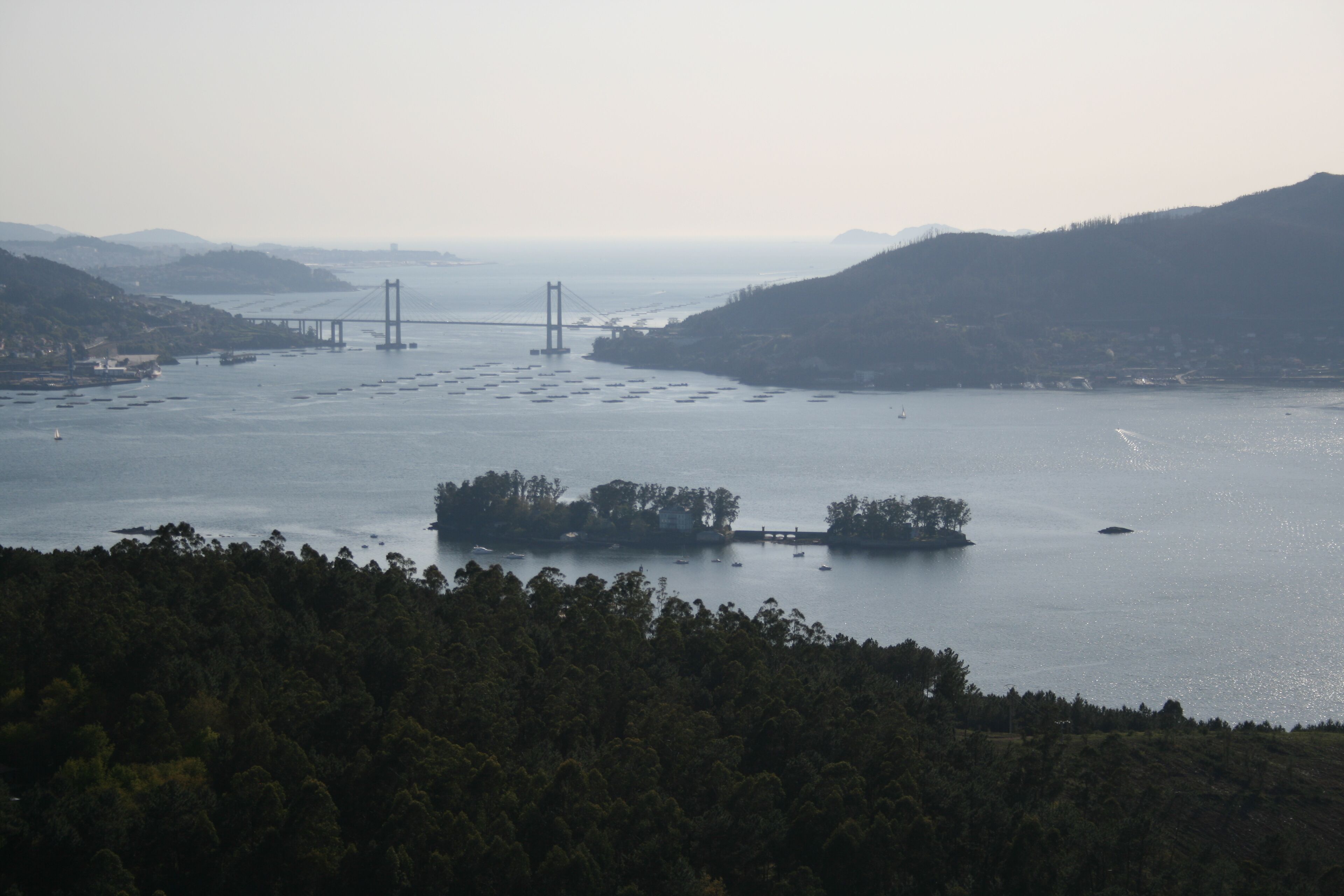 A coastal landscape with a bridge, boats, and forested hills.