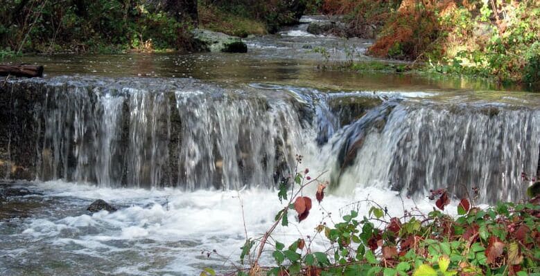 Río de la Venta, Cercedilla, Madrid. December, 2010