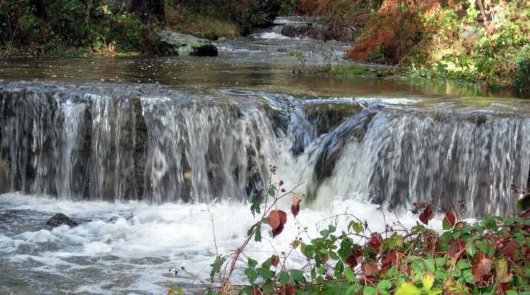 Río de la Venta, Cercedilla, Madrid. December, 2010