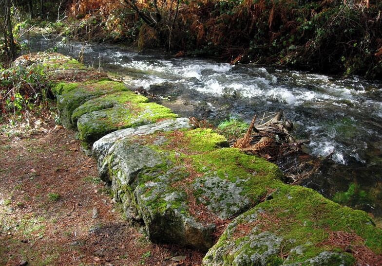 Cercedilla, Madrid. December, 2010