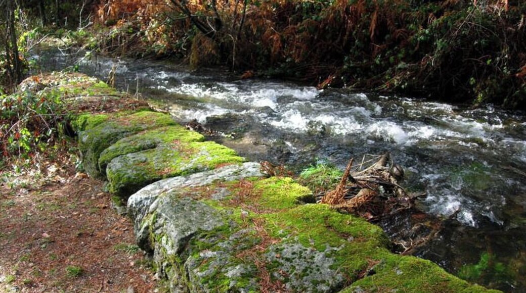 Cercedilla, Madrid. December, 2010