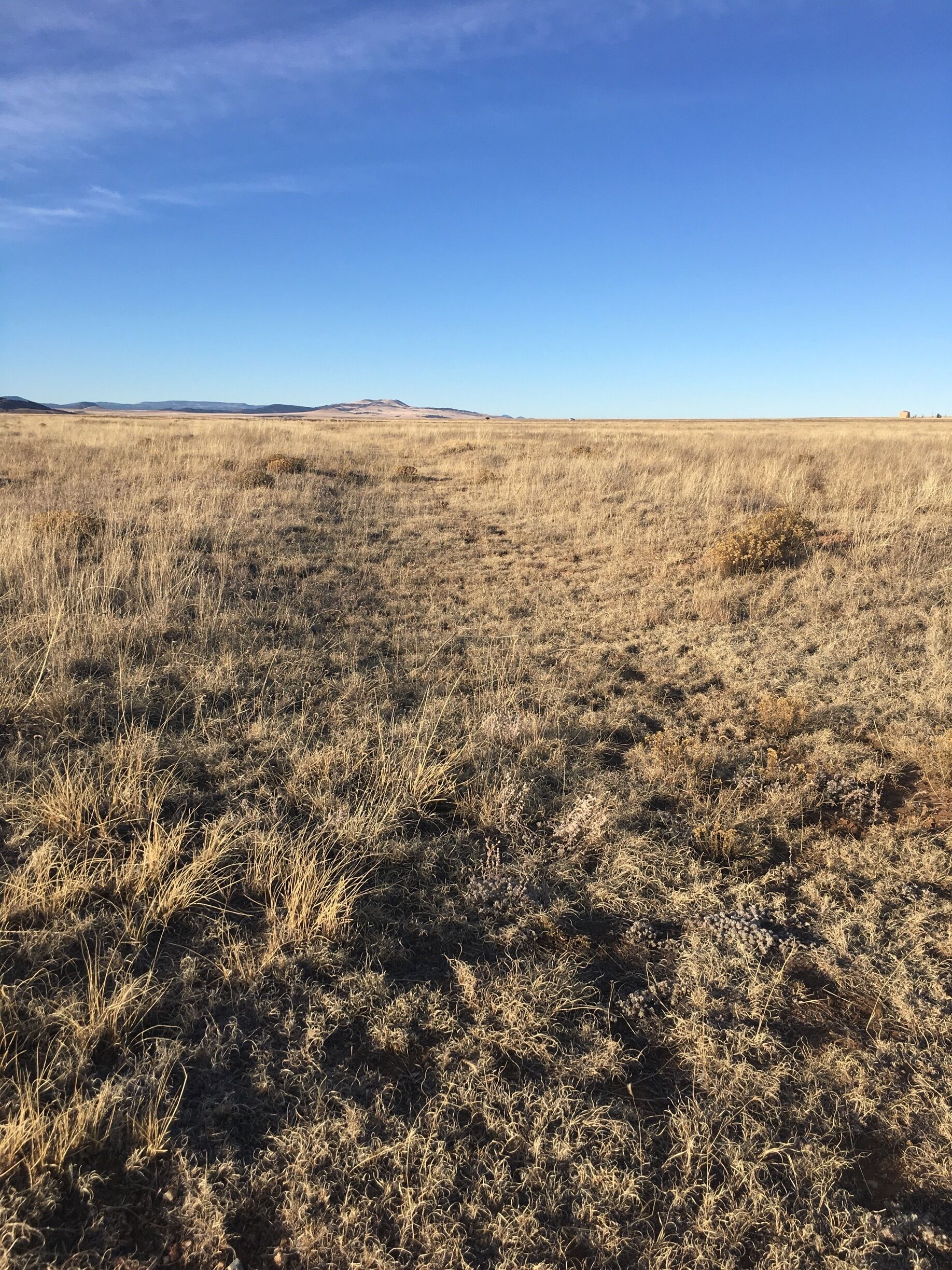 The wagon ruts of the Santa Fe Trail can still be seen here at Ft. Union Monument. It is worth a visit. Tough history. 