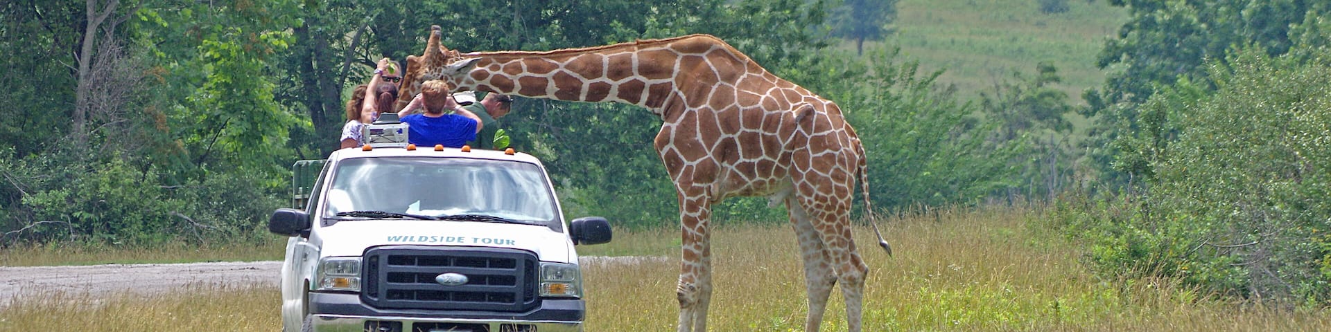 The Wilds is a 9000+ acre nature and conservation center. You can take a safari bus down among the animals. Cool place, worth seeing. My only negative is that there aren't nearly enough animals for the size of the place.