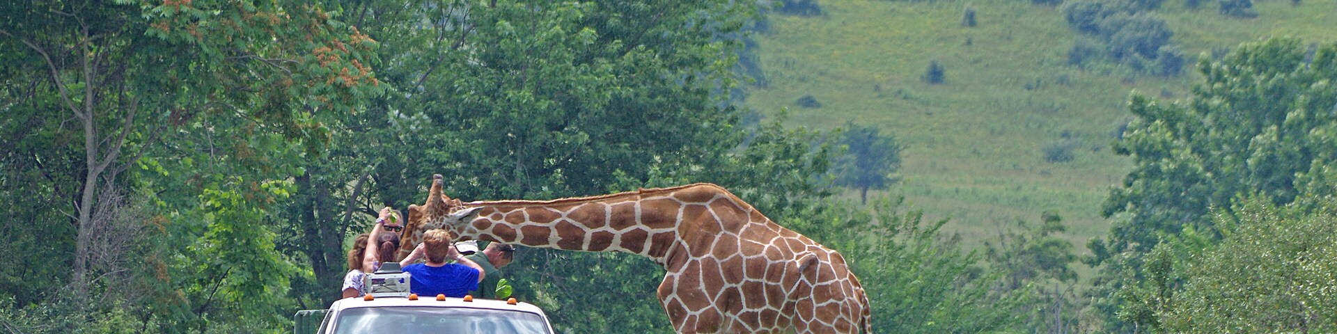 The Wilds is a 9000+ acre nature and conservation center. You can take a safari bus down among the animals. Cool place, worth seeing. My only negative is that there aren't nearly enough animals for the size of the place.