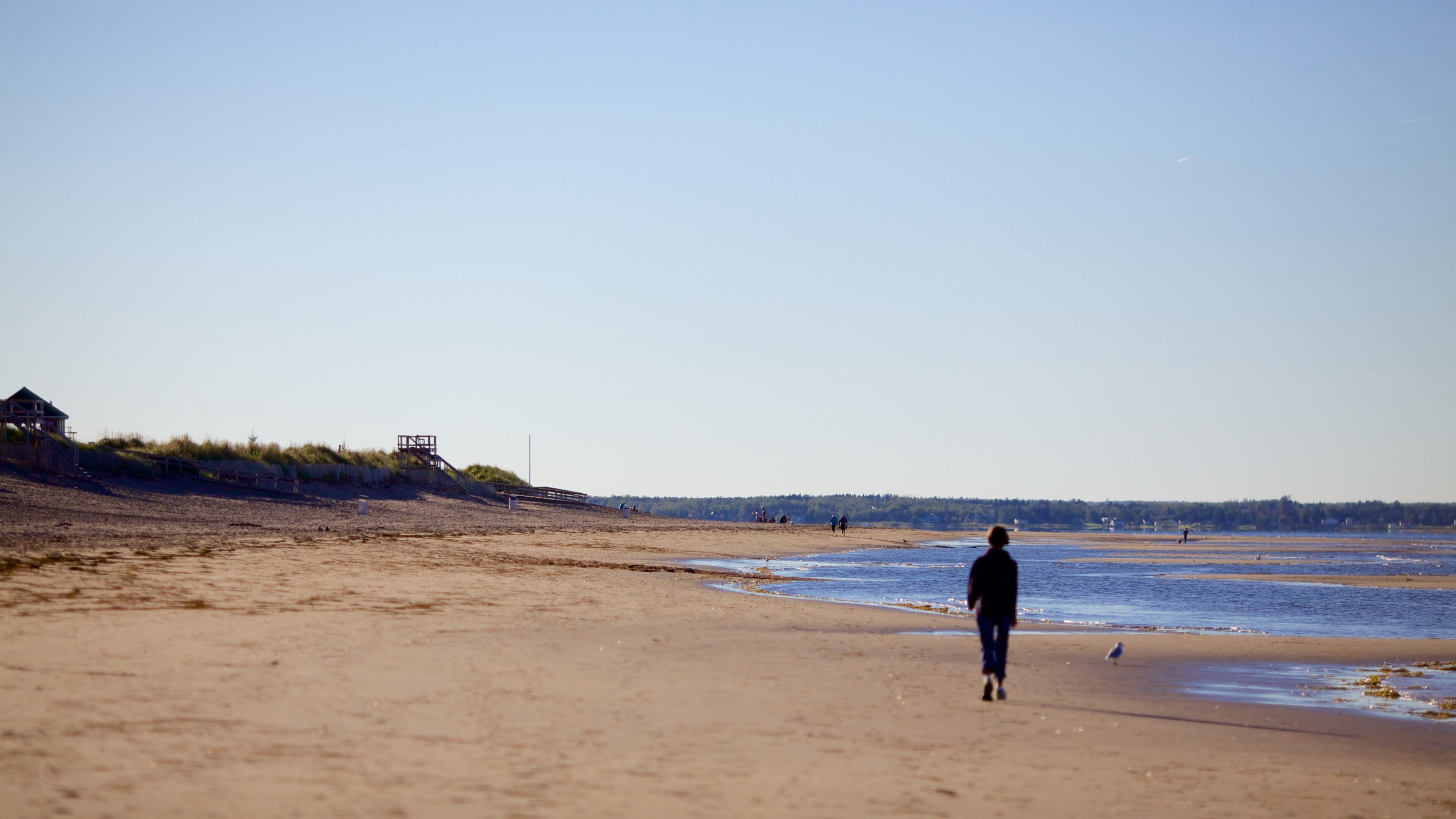 Parque provincial de la Playa Parlee ofreciendo una playa de arena