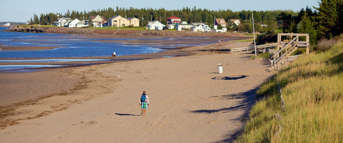 A sandy beach with a person walking, a wooden boardwalk, and houses in the background.