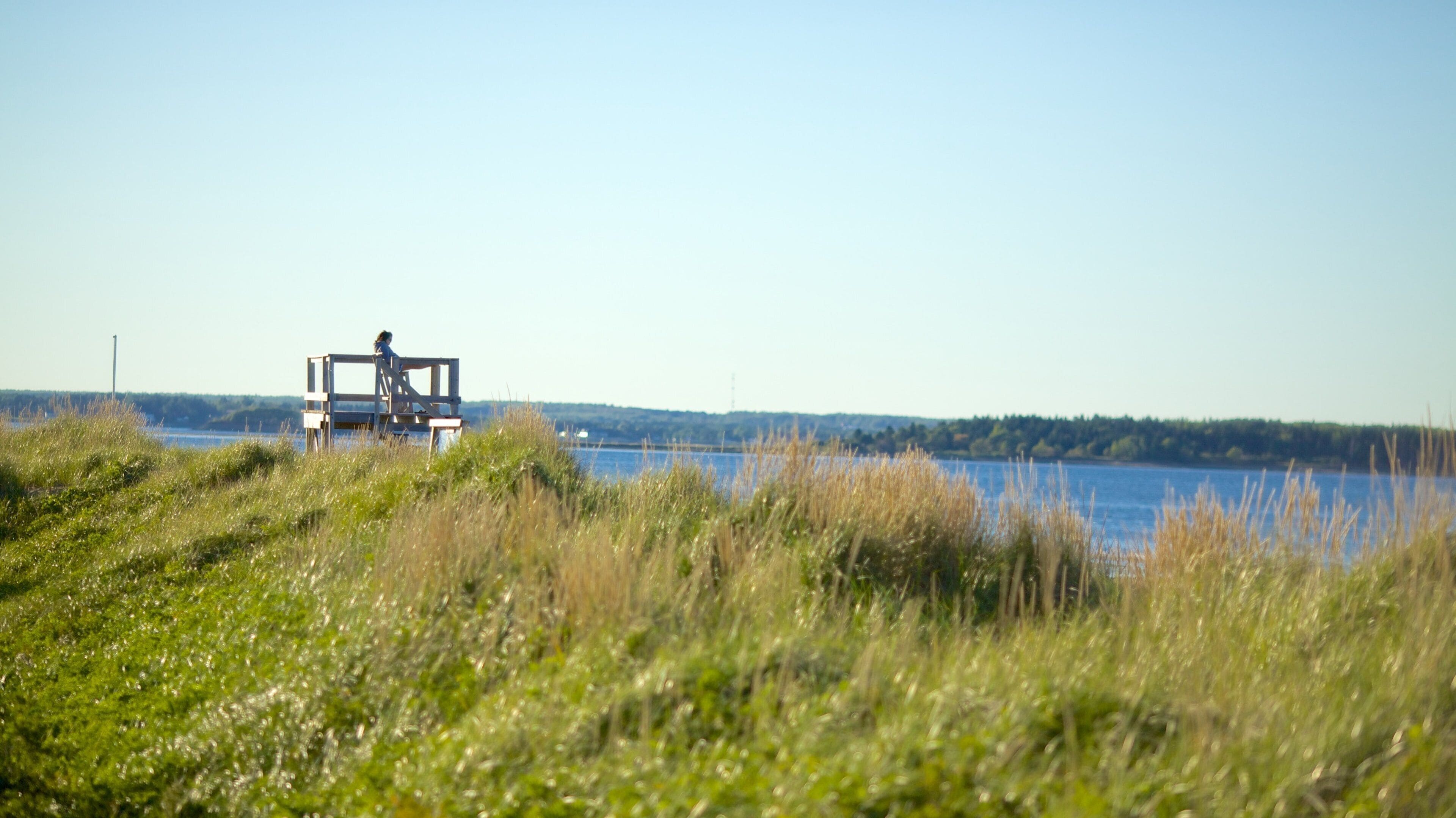 Parque provincial de la Playa Parlee que incluye vistas generales de la costa