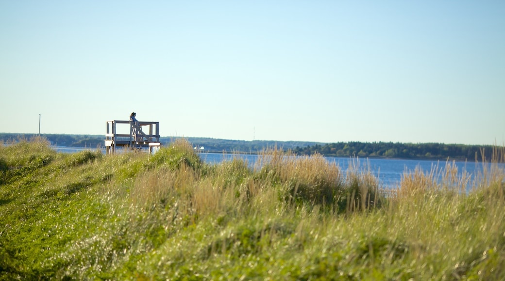 Parlee Beach Provincial Park showing general coastal views