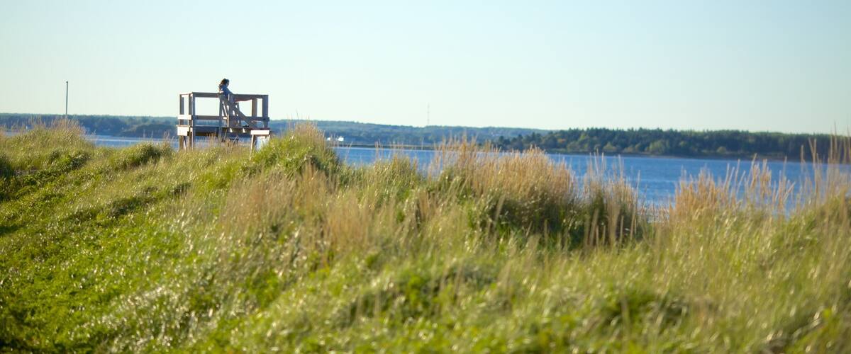 Parc provincial de la plage Parlee montrant vues littorales
