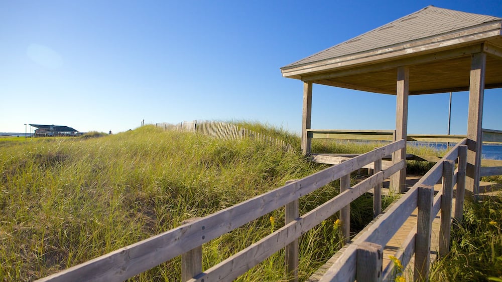 Une promenade en bois menant à un abri de plage, entourée d’herbes hautes et surplombée d’un ciel bleu clair.