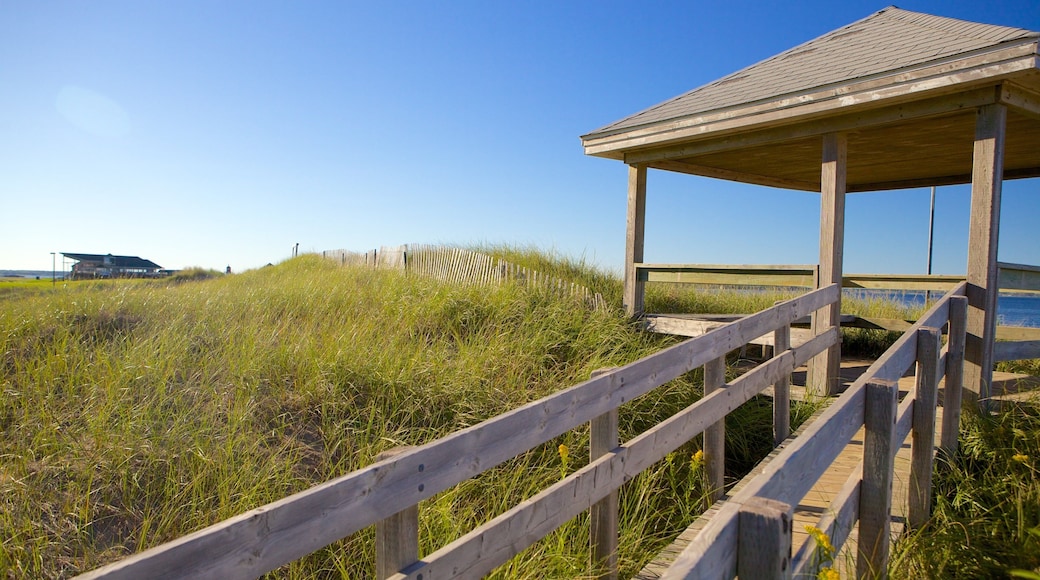 Parlee strand provinspark fasiliteter samt kyst