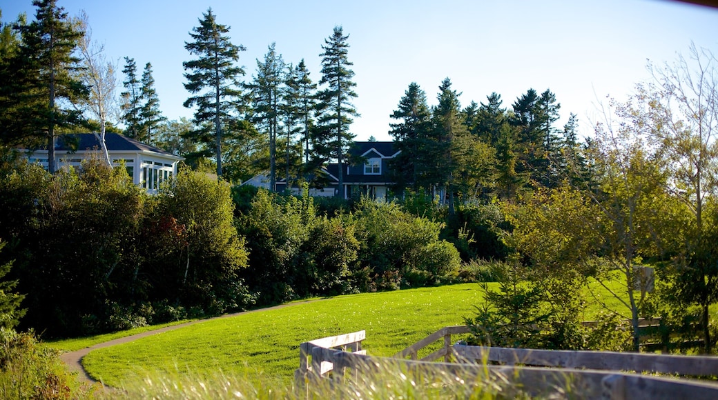 Parlee Beach Provincial Park featuring a garden and tranquil scenes