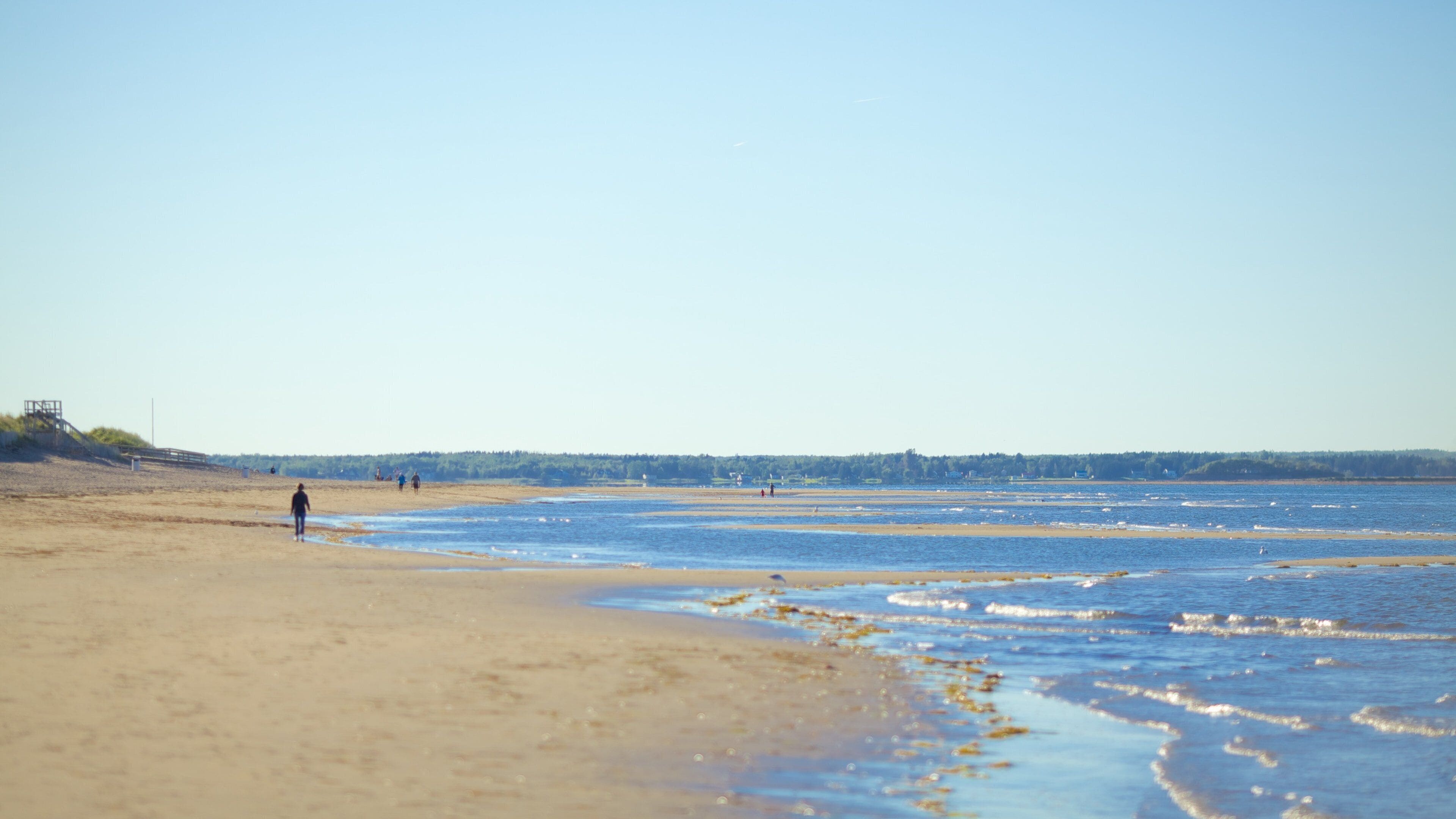 A beach with people walking along the shore and a lifeguard tower in the distance.