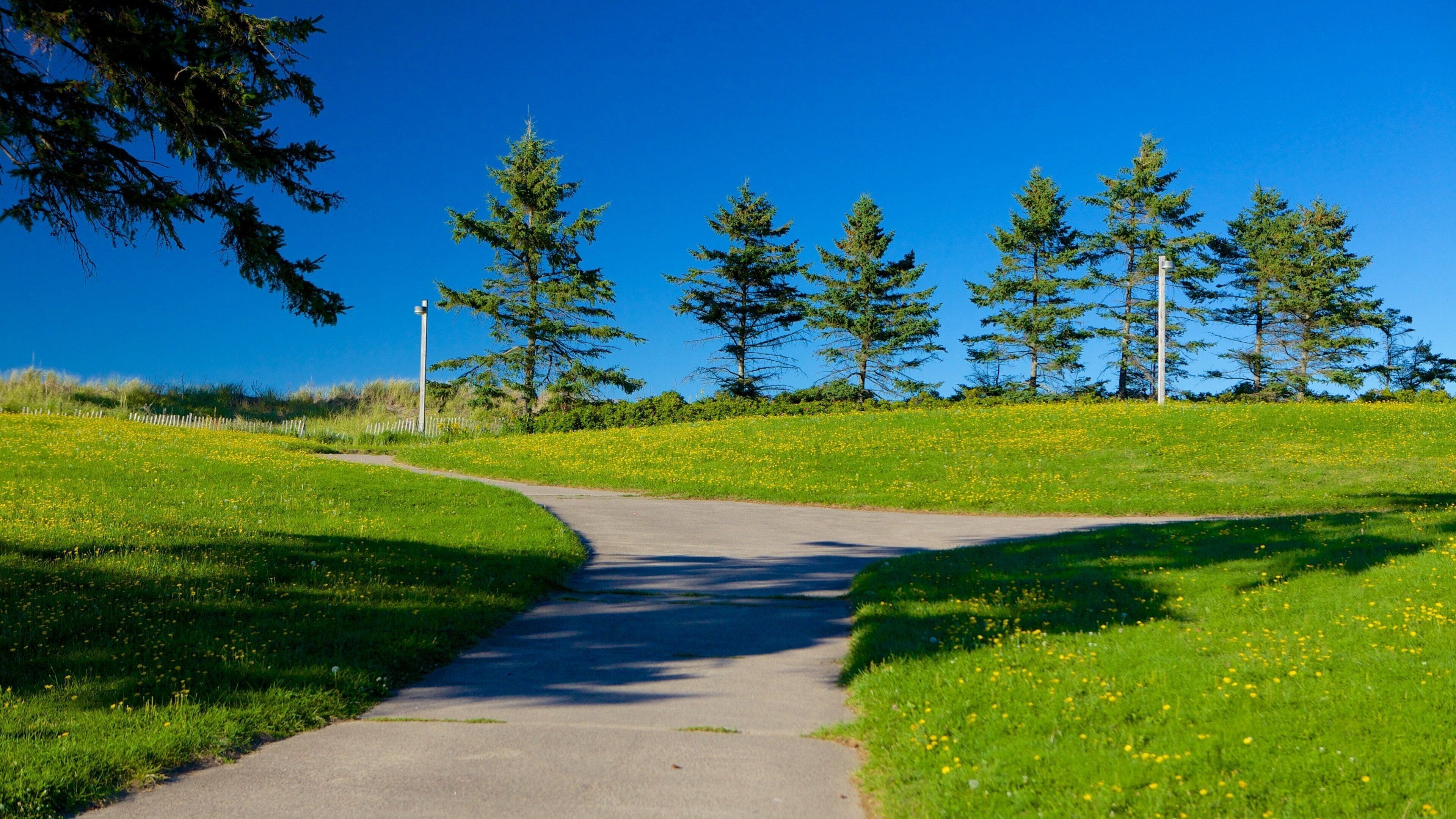 Parlee Beach Provincial Park featuring a park