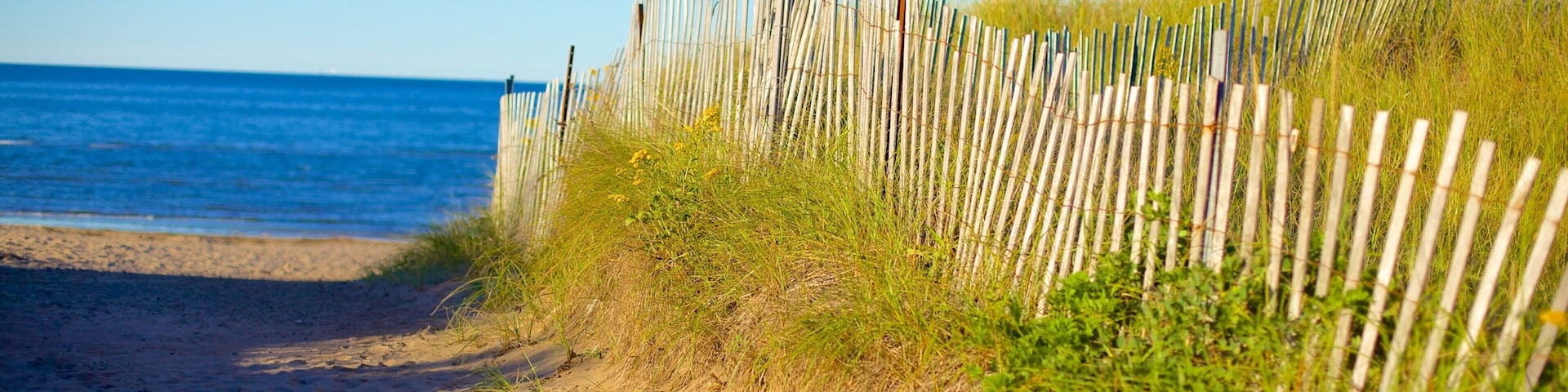 Parlee Beach Provincial Park showing general coastal views and a beach