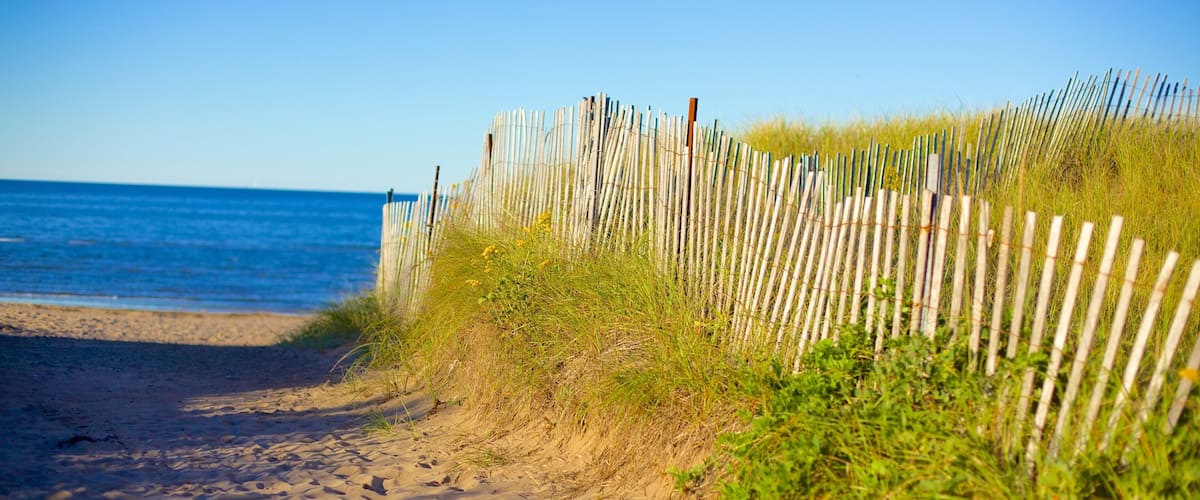 A sandy beach path with a wooden fence and grass.