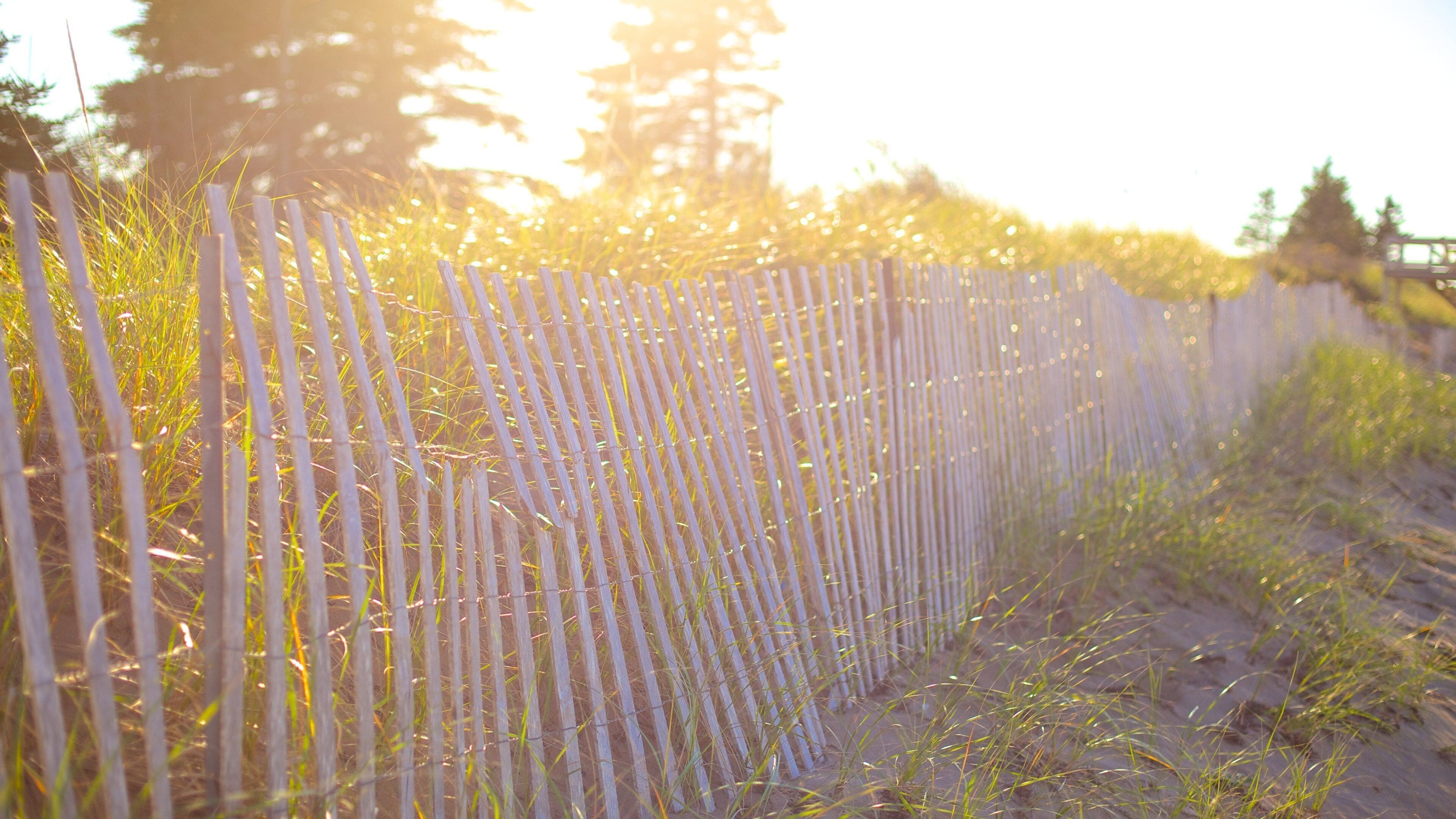 Parlee Beach Provincial Park