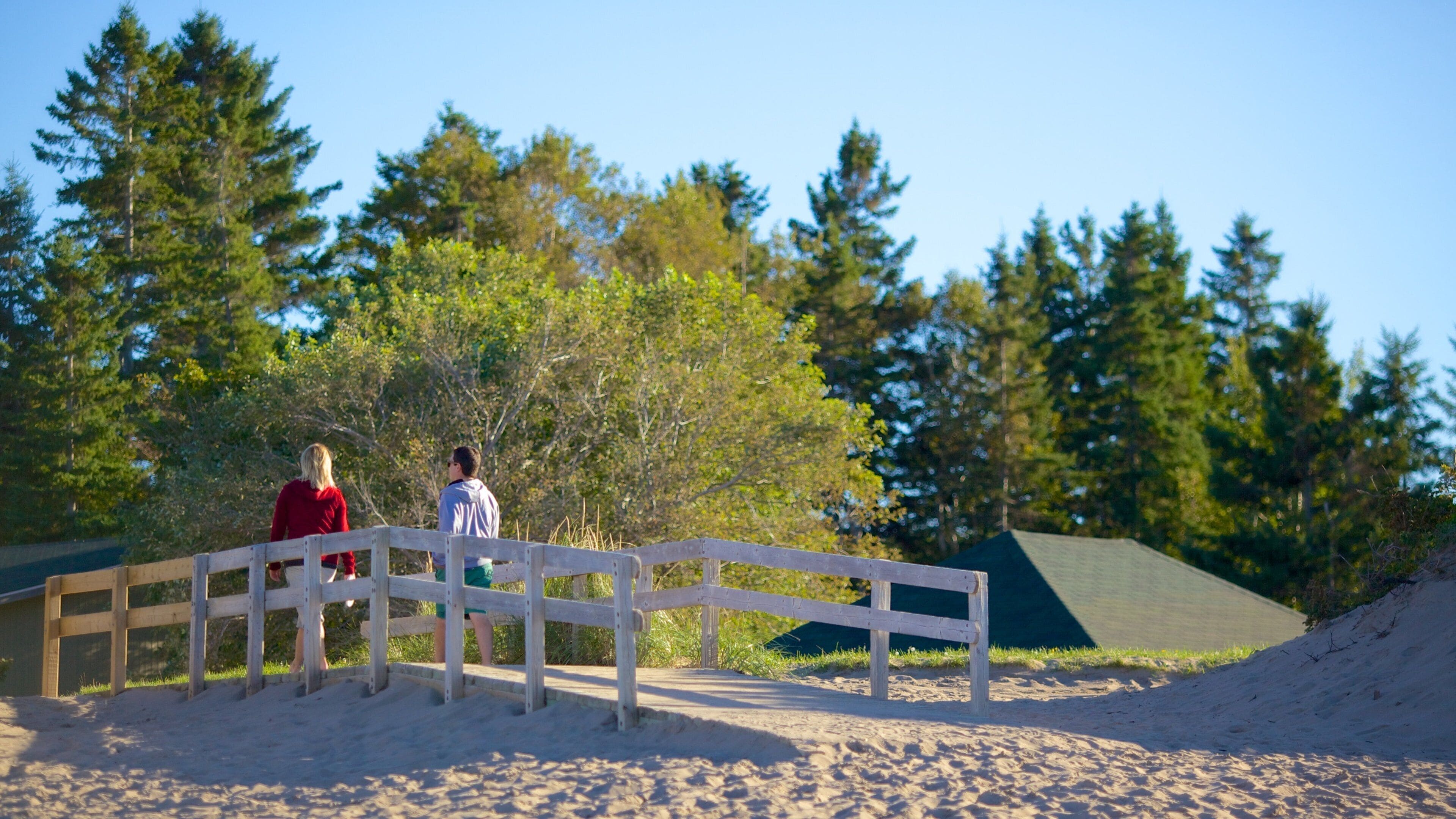 Parlee Beach Provincial Park showing a sandy beach as well as a couple