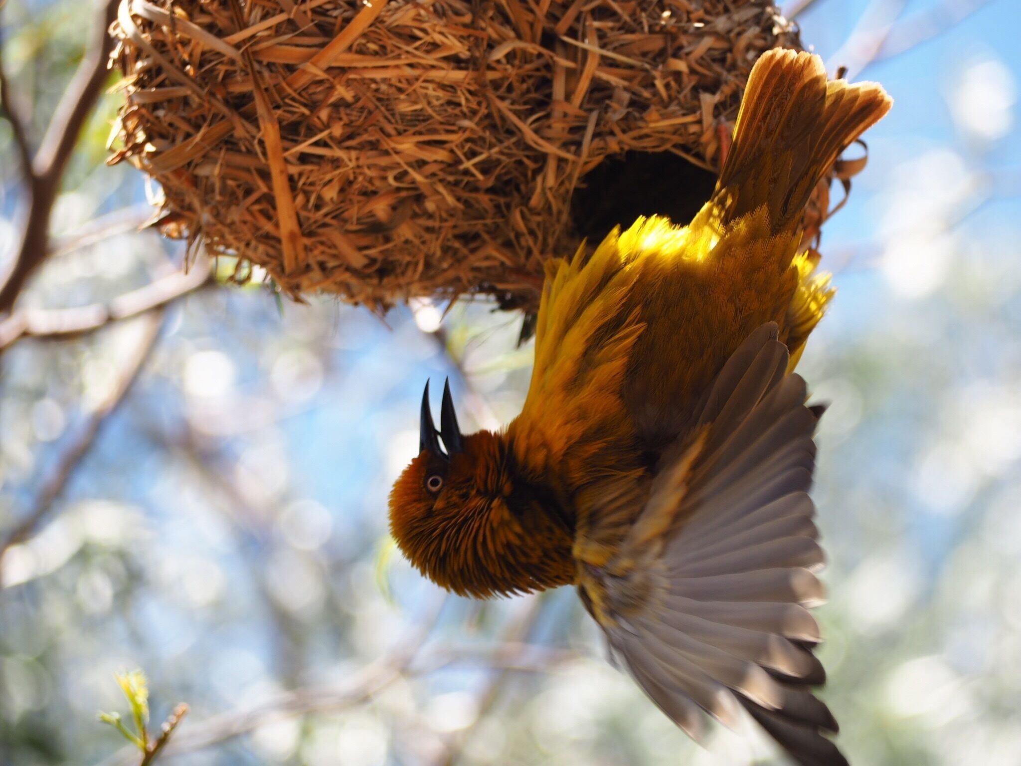 Such dedication to detail