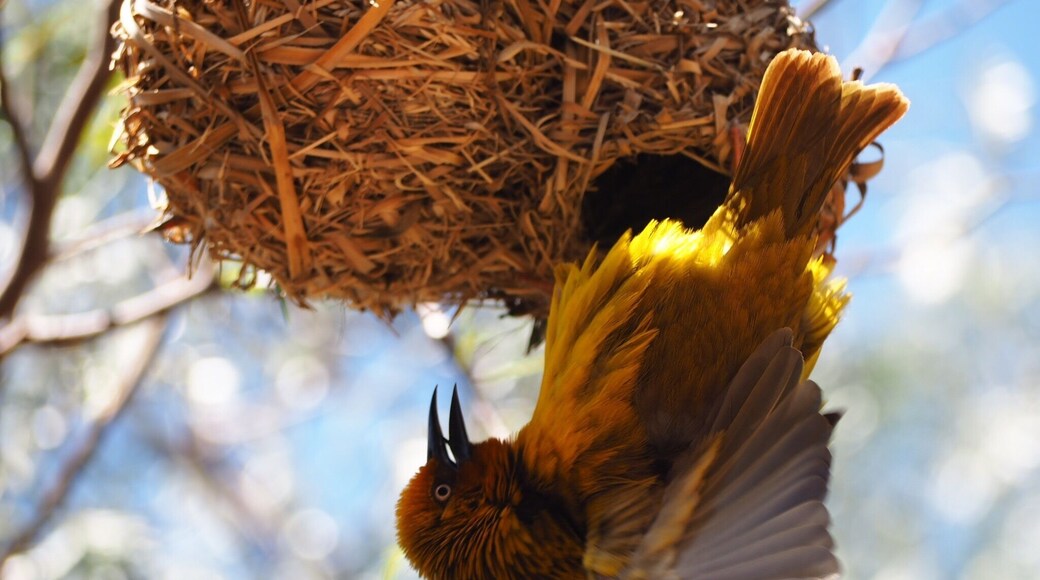 Such dedication to detail