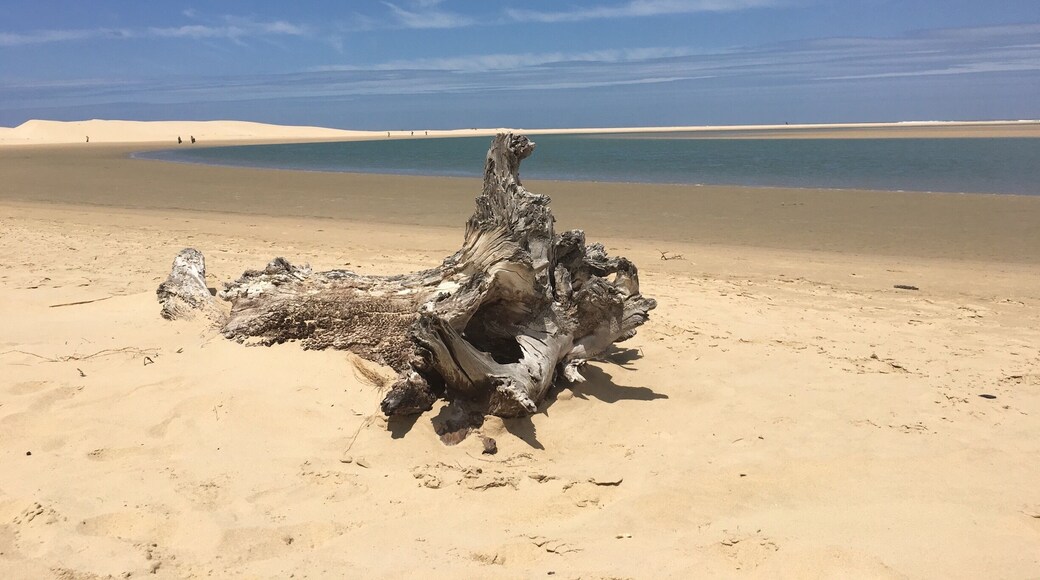 Its not hard to take good photos of driftwood - no matter the angle its intriguing and thought provoking
