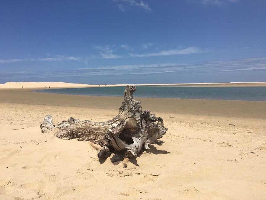 Its not hard to take good photos of driftwood - no matter the angle its intriguing and thought provoking