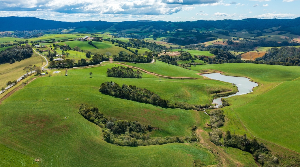 Dorrigo which includes landscape views and tranquil scenes