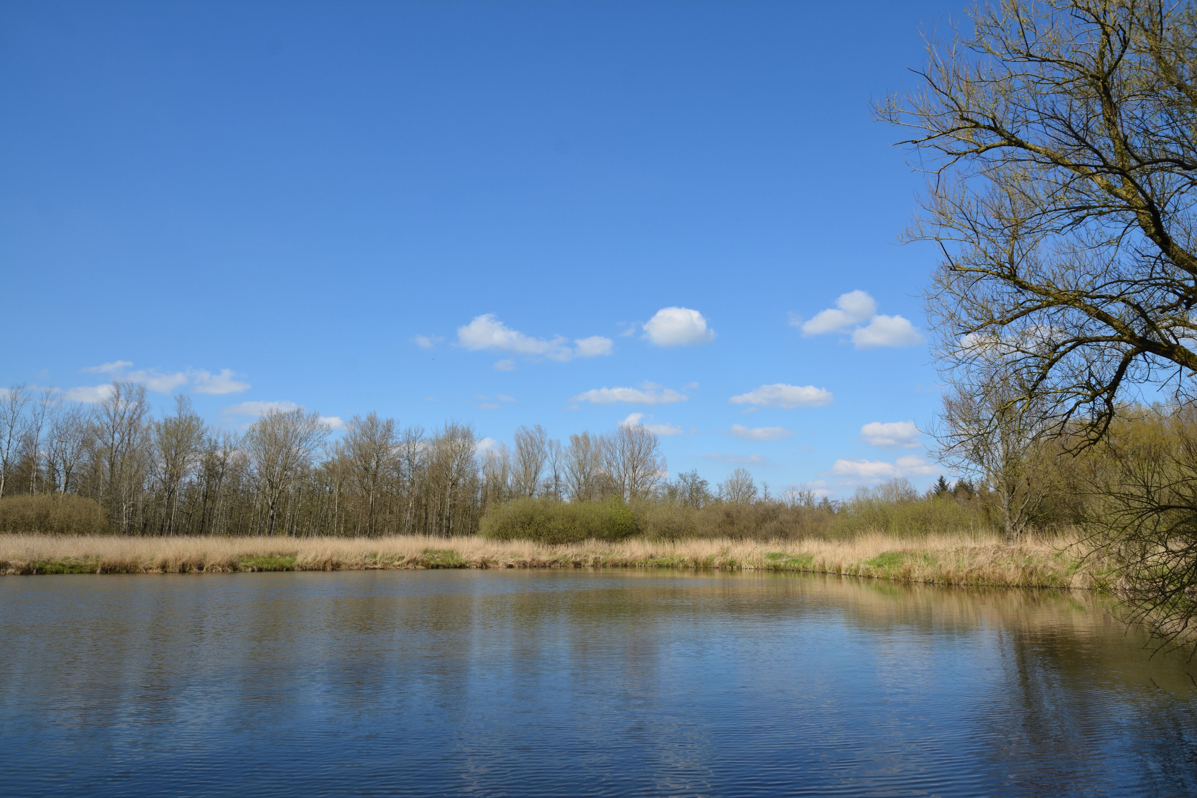 This is a picture of the protected area listed at WDPA under the ID
