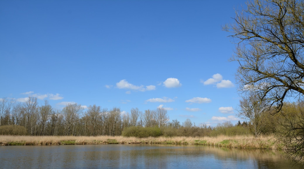 This is a picture of the protected area listed at WDPA under the ID