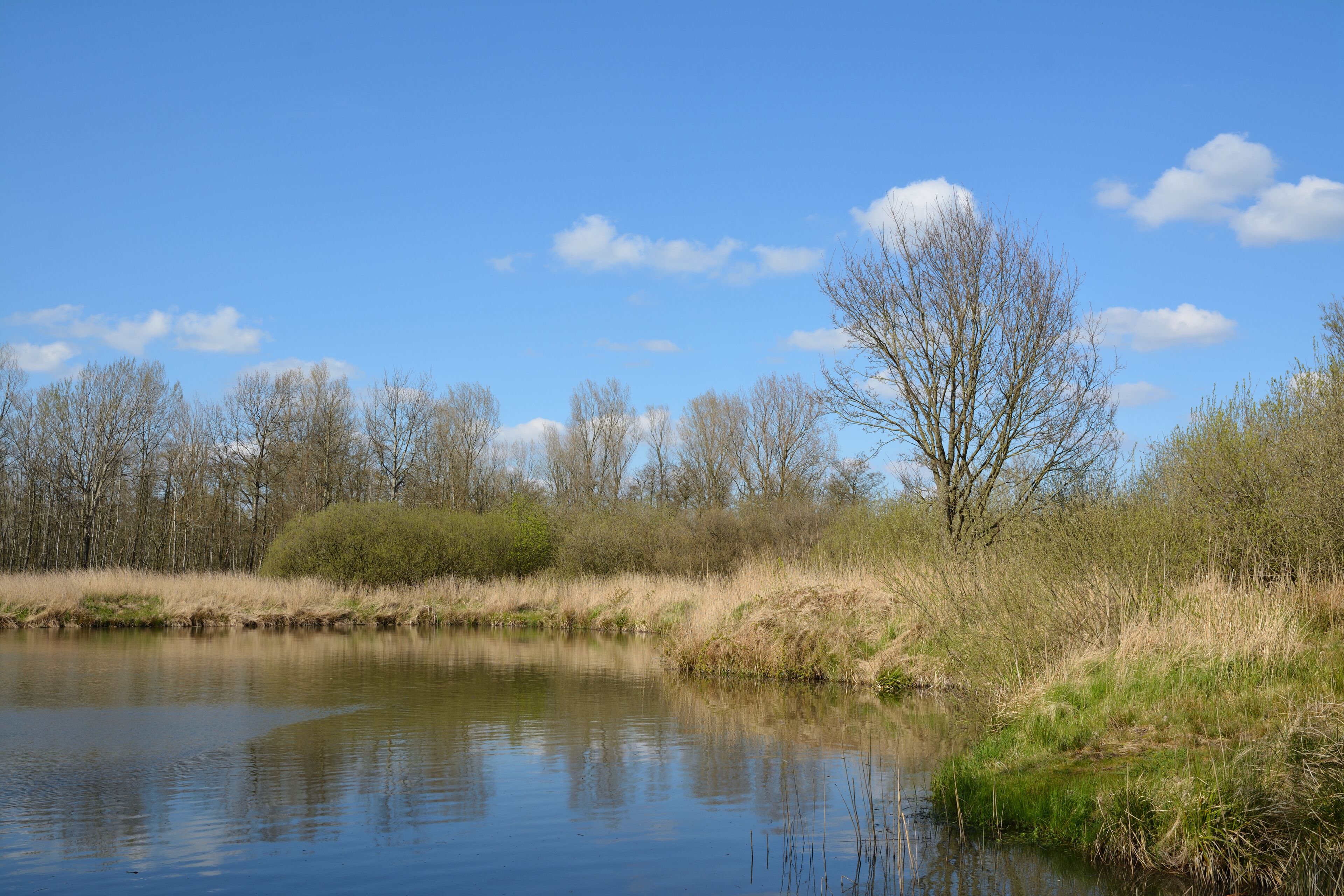 This is a picture of the protected area listed at WDPA under the ID