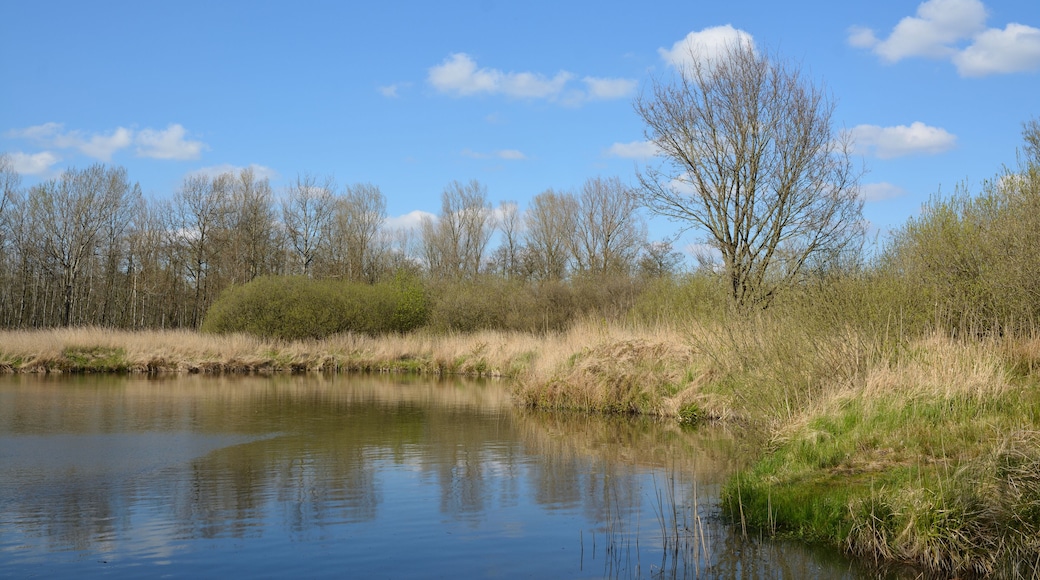 This is a picture of the protected area listed at WDPA under the ID