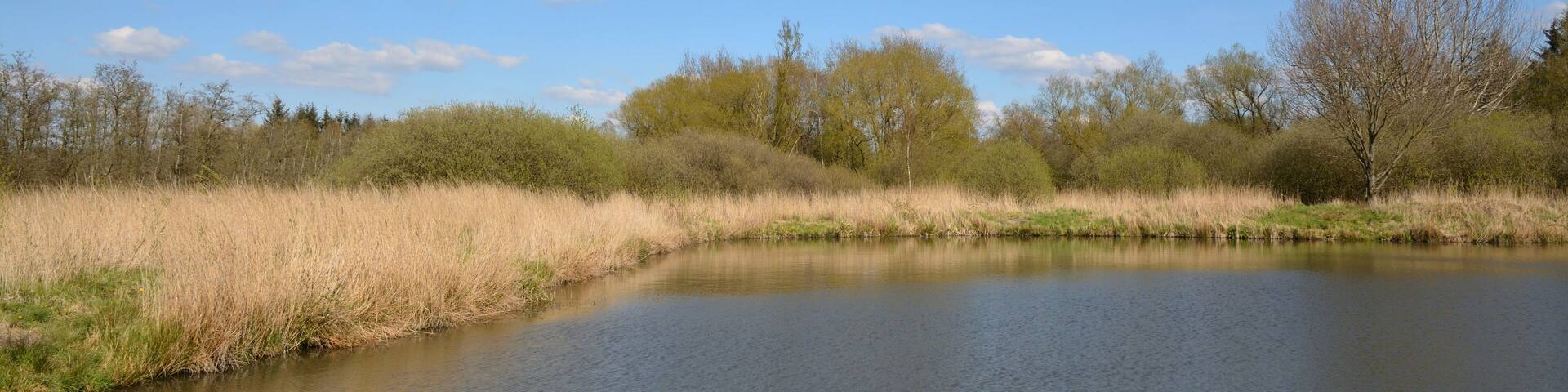 This is a picture of the protected area listed at WDPA under the ID