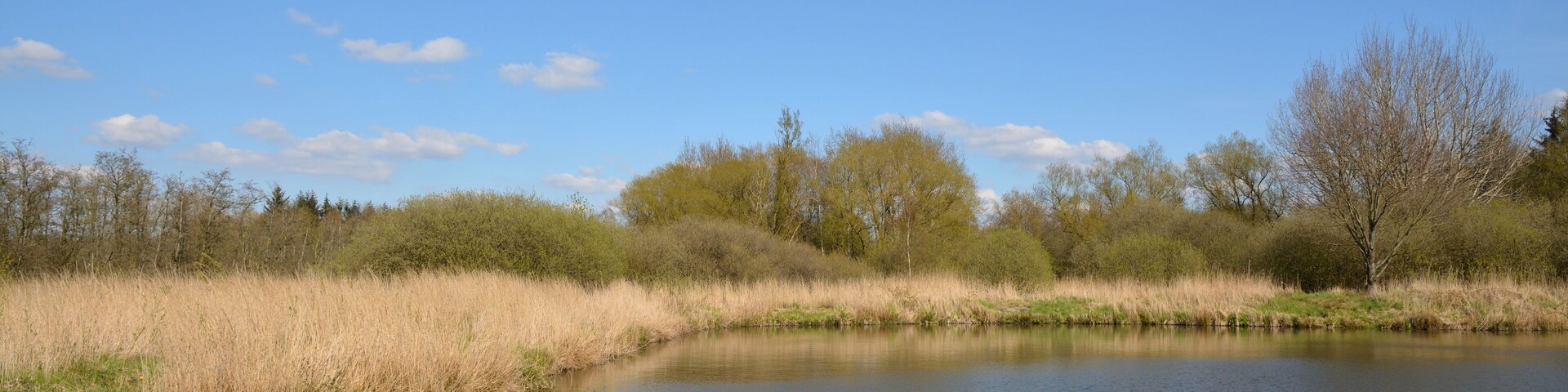 This is a picture of the protected area listed at WDPA under the ID