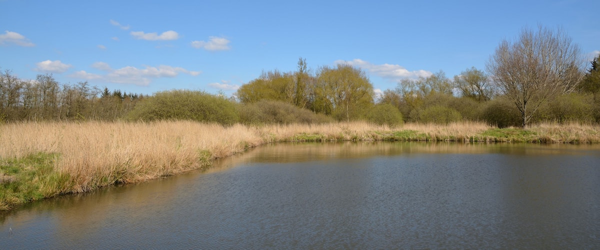 A calm river with grassy banks and trees in the background.