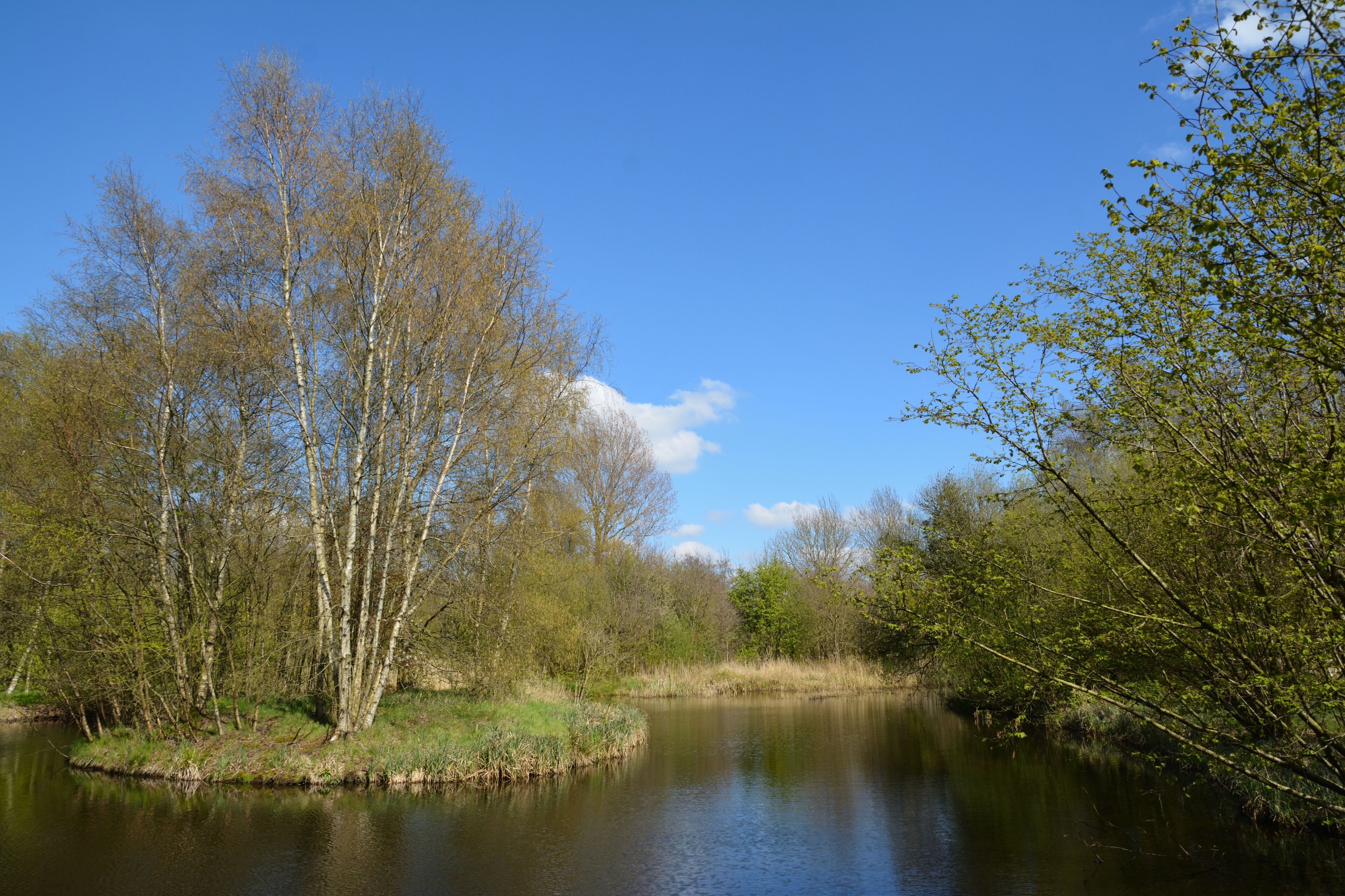 This is a picture of the protected area listed at WDPA under the ID