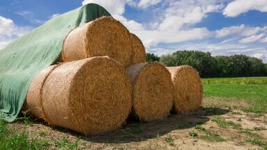 Hay bales in a field with a green tarp and a blue sky with clouds.