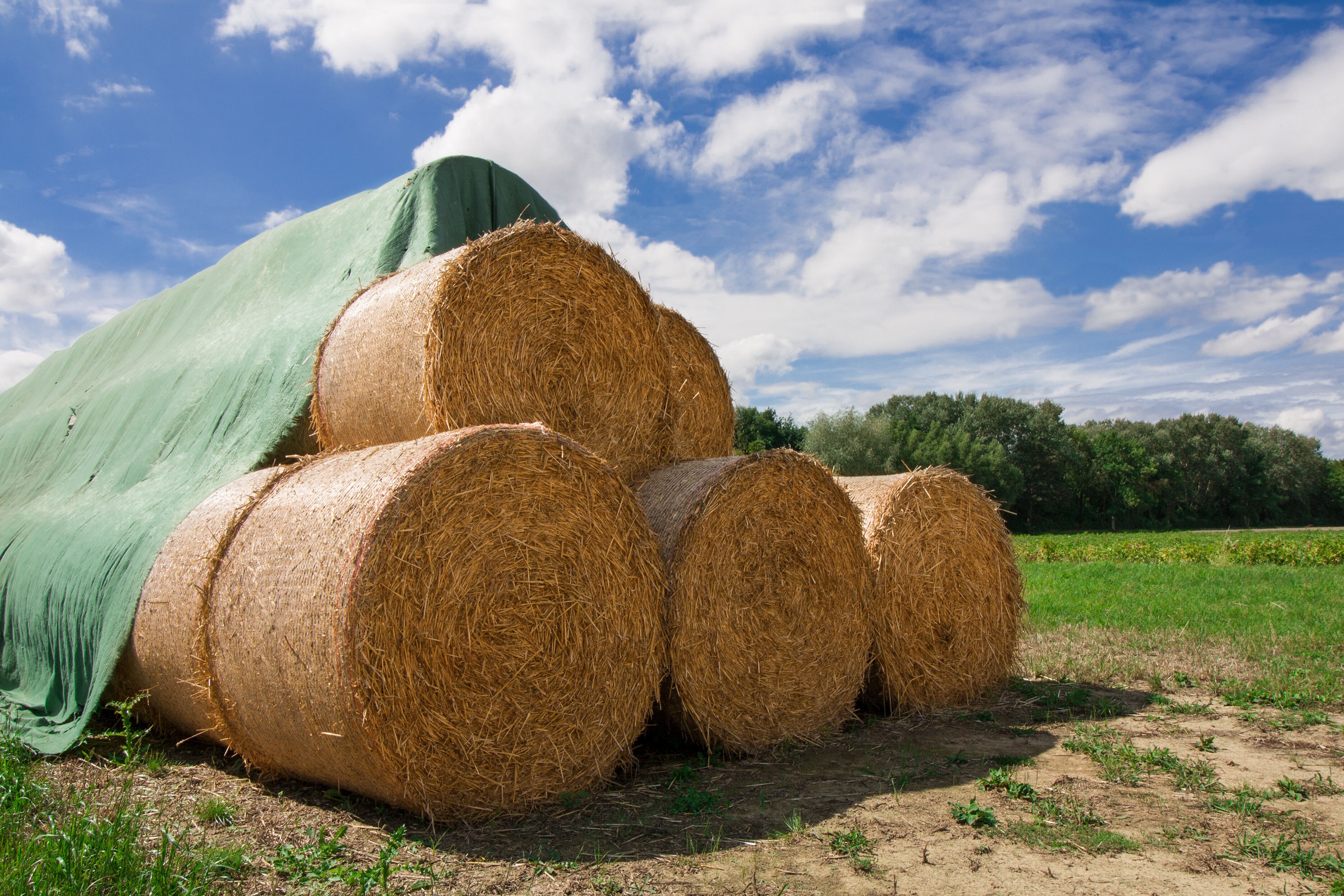 Hay bales in a field with a green tarp and a blue sky with clouds.
