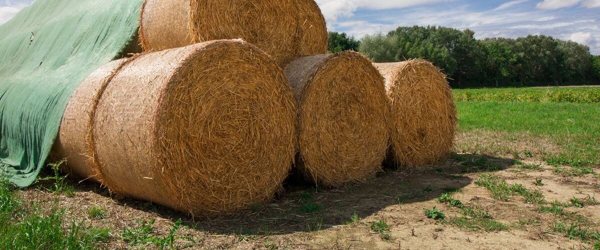 Hay bales in a field with a green tarp and a blue sky with clouds.