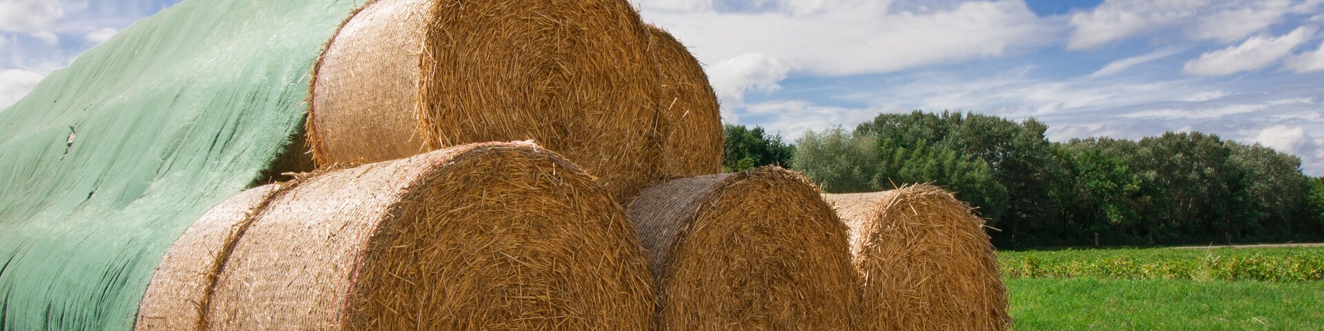 Hay bales in a field with a green tarp and a blue sky with clouds.