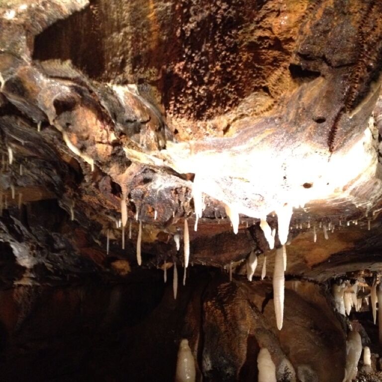 2210 State Route 245 E
West Liberty‎ OH‎ 43357
United States