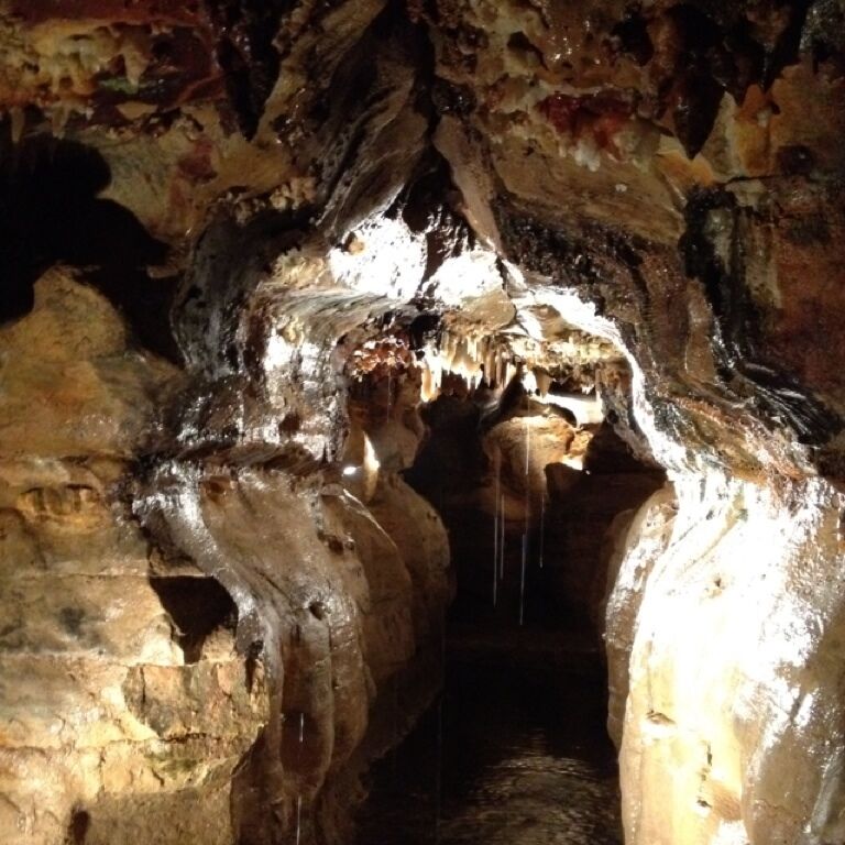 2210 State Route 245 E
West Liberty‎ OH‎ 43357
