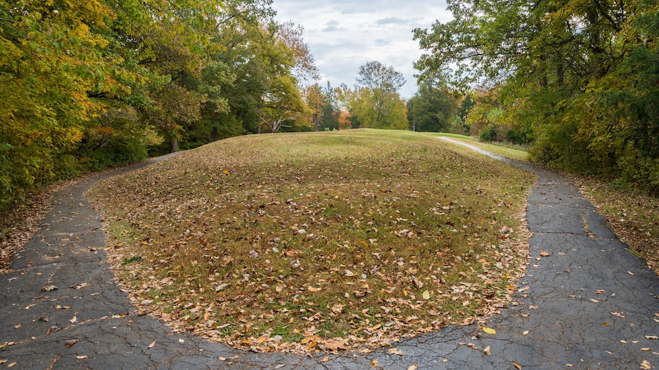 A park with a paved path, grassy area, and trees with autumn leaves.