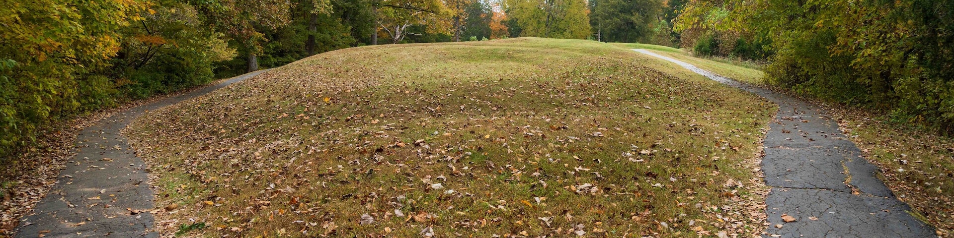 A park with a paved path, grassy area, and trees with autumn leaves.