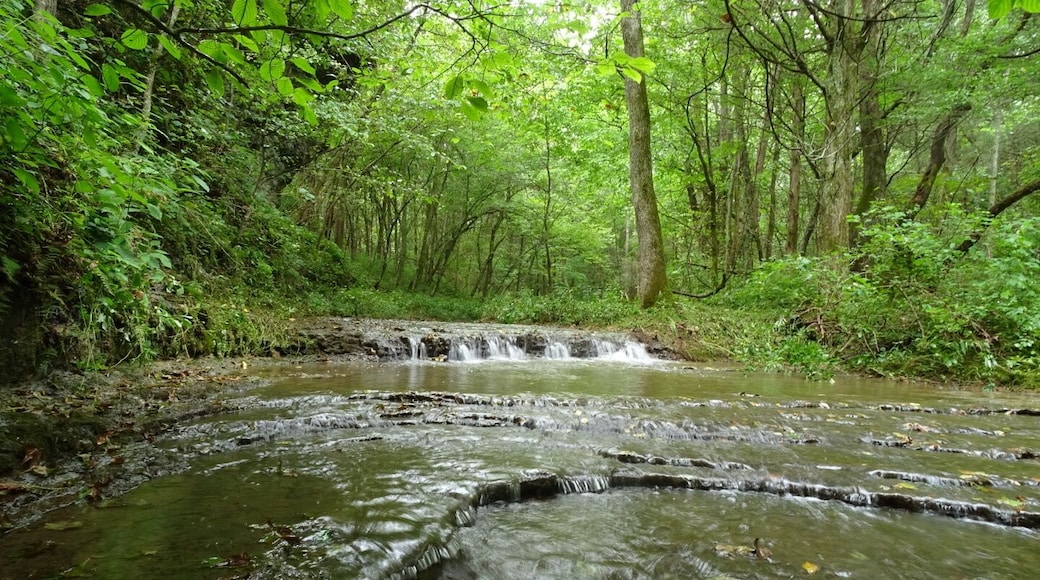 A small waterfall on a tributary of Scioto Brush Creek inside of Chalet Nivale Nature Preserve.