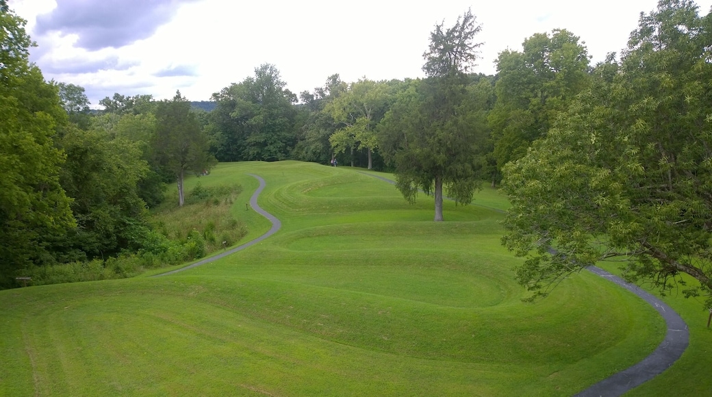 The Great Serpent Mound is a 1,348-foot long and three-foot-high prehistoric effigy mound.
Serpent Mound is the largest serpent effigy in the world.
My question is without lawnmowers, how did these ancient peoples keep the surrounding vegetation from encroaching and obscuring the effigy?