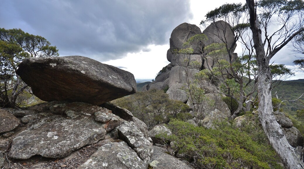 The New England area is mostly make up of granit and this is one of the many walks among such formations. It's a nice loop, from memory about 1 1/2 hours, and a little tricky near the top where you have to grab a chain for about 20 metres but, other than that, it's straightforward and well signposted.